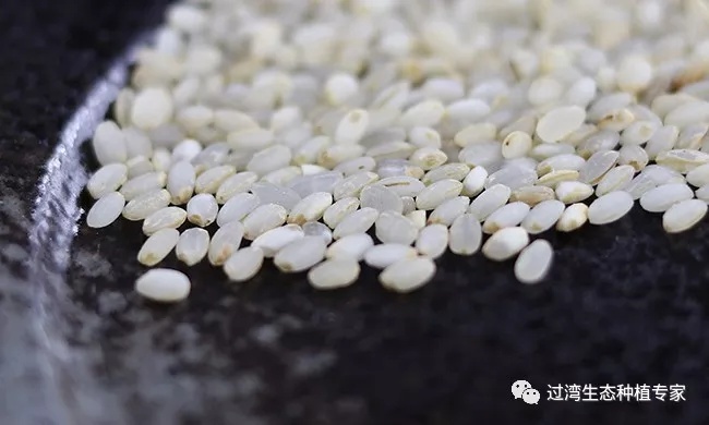碾米機(jī)26_副本 碾米機(jī)26_副本