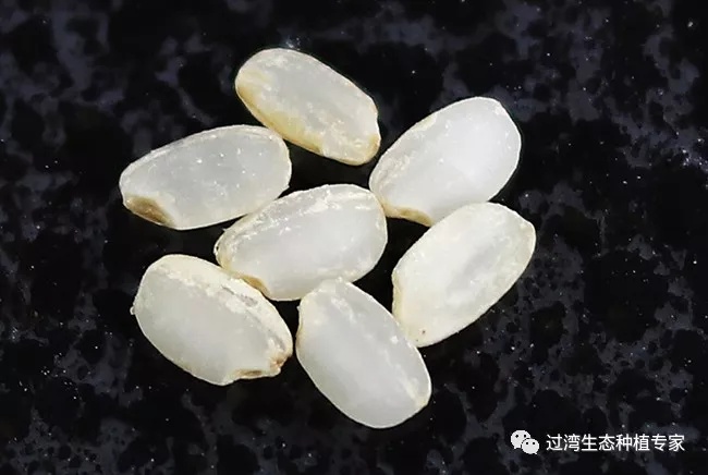 碾米機(jī)27_副本 碾米機(jī)27_副本