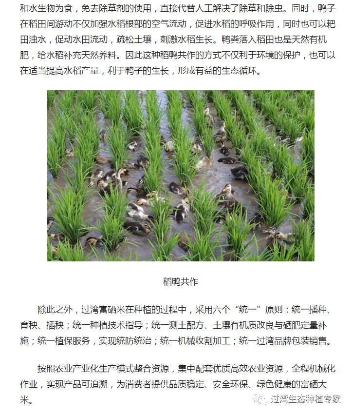 人民網(wǎng)2_副本 人民網(wǎng)2_副本