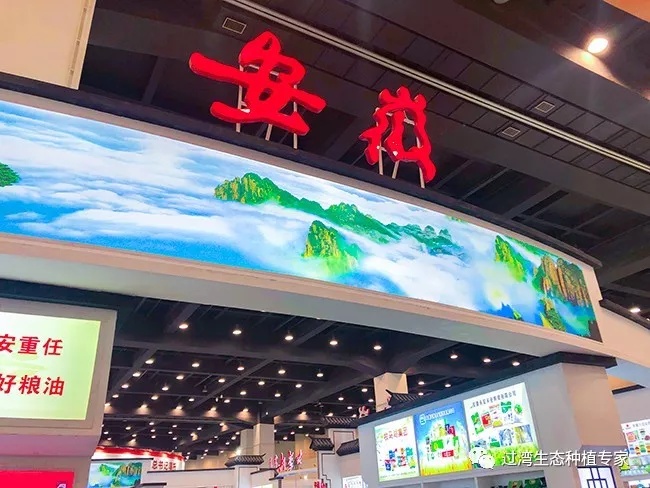 大會_副本 大會_副本