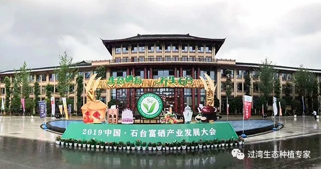 大會(huì)_副本 大會(huì)_副本