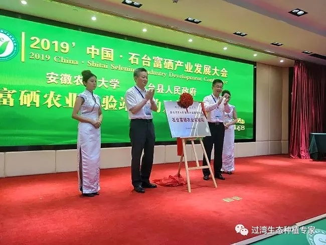 大會(huì)6_副本 大會(huì)6_副本