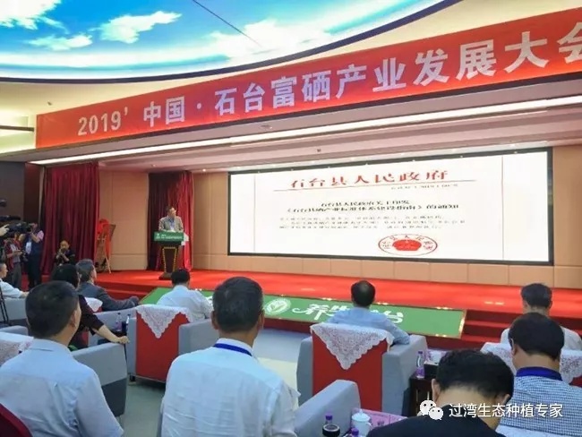 大會(huì)8_副本 大會(huì)8_副本