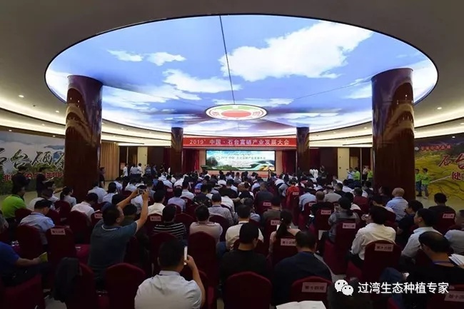 大會(huì)17_副本 大會(huì)17_副本