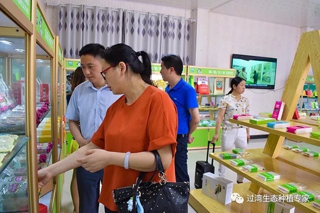 劉琴_副本 劉琴_副本