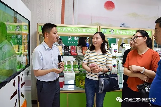 劉琴1_副本 劉琴1_副本